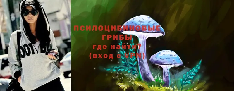 Галлюциногенные грибы Magic Shrooms  blacksprut ССЫЛКА  Приморск 